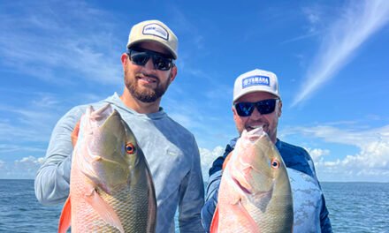 Treasures of Biscayne Bay